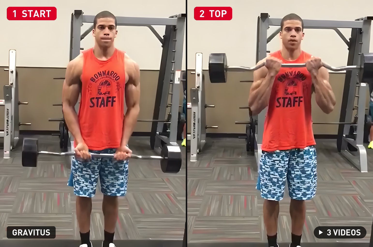 EZ Bar Curl demonstration