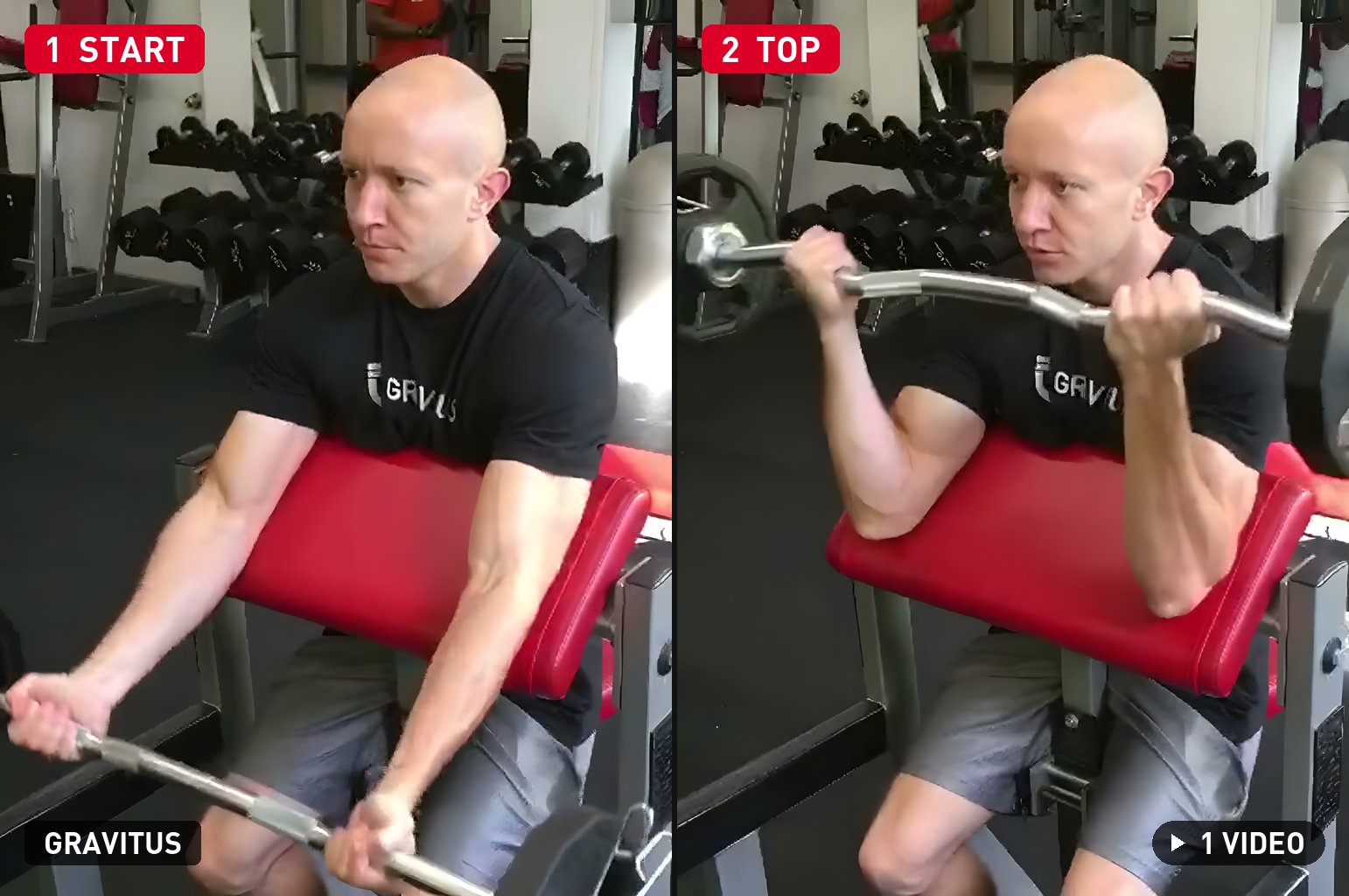 Preacher Curl demonstration
