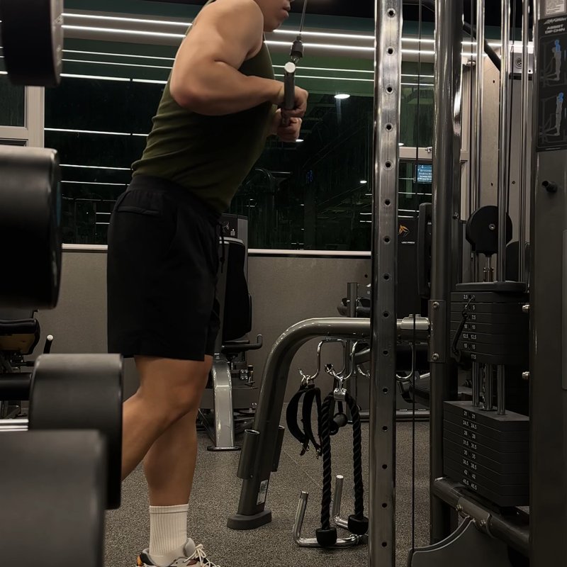 Cable Triceps Pressdown - Straight Bar thumbnail