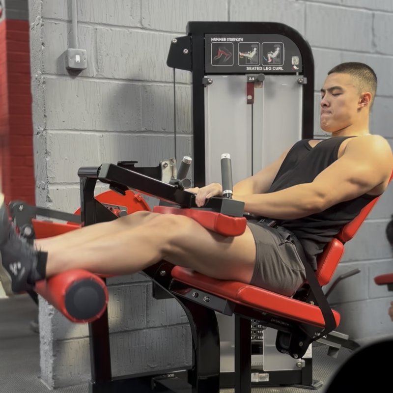 Hammer Strength Seated Leg Curl thumbnail