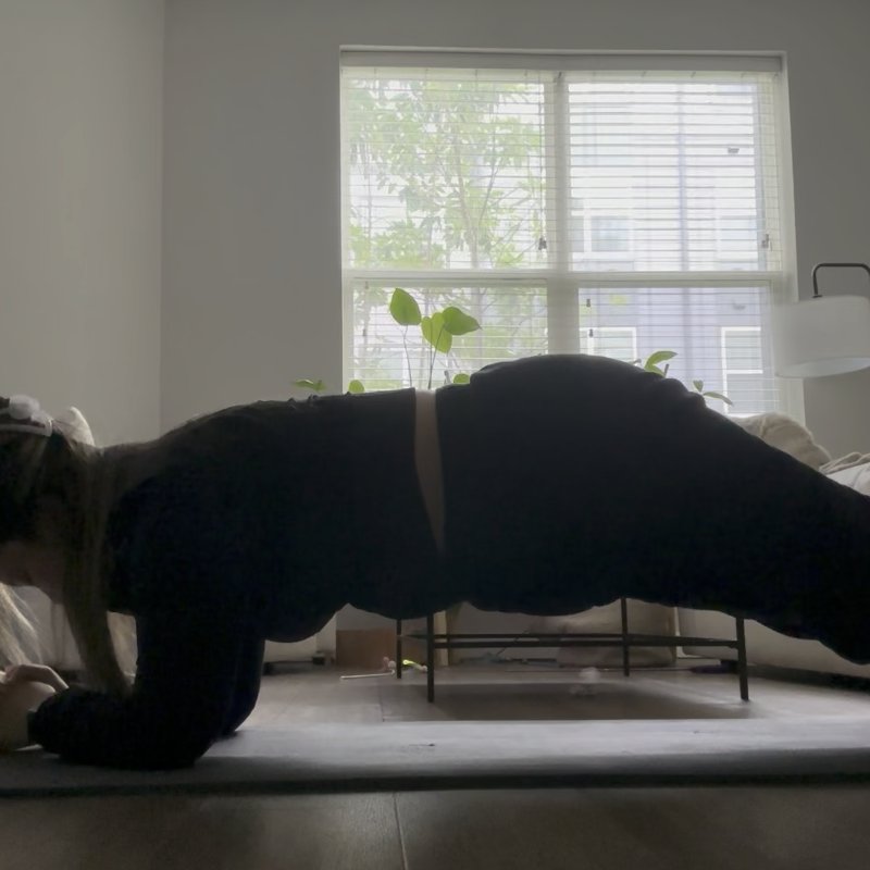 Plank video demonstration
