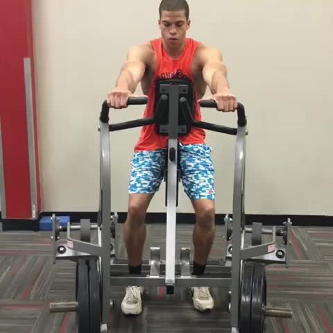 Plate Loaded Row thumbnail