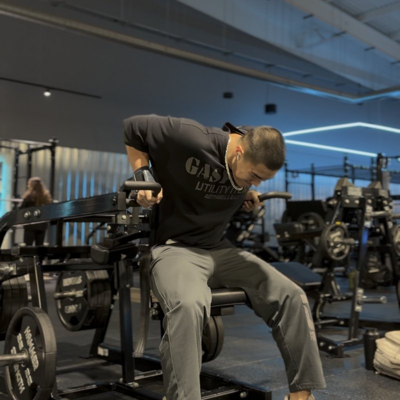 Hammer Strength Seated Dip thumbnail
