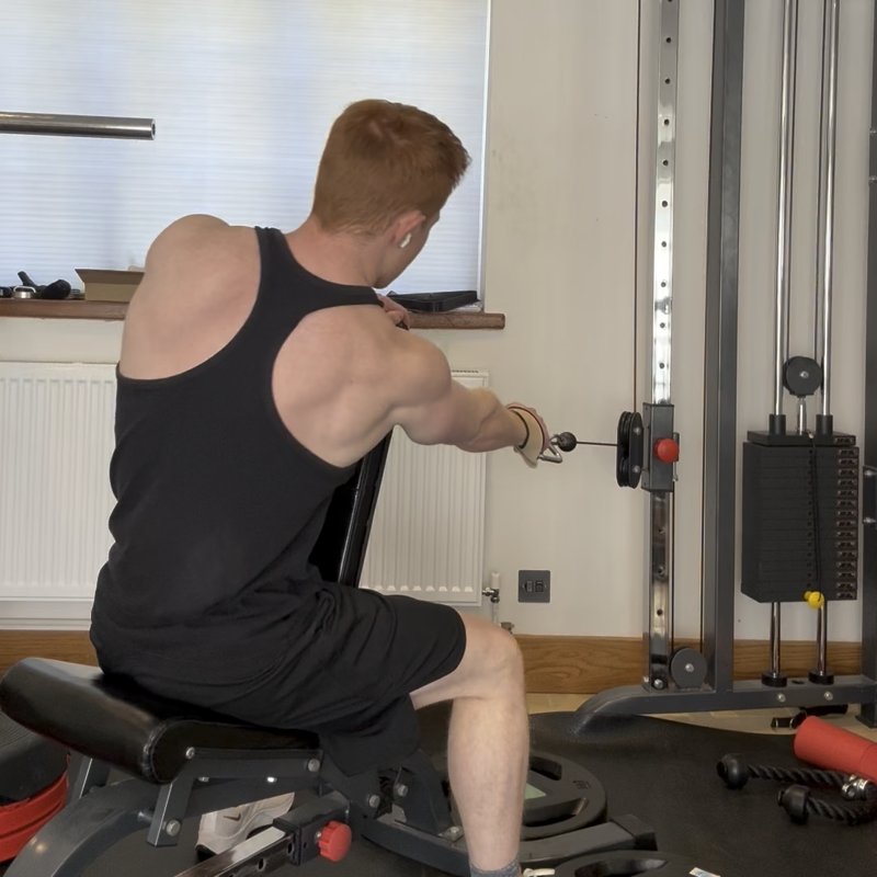 One Arm Seated Bench Cable Row thumbnail