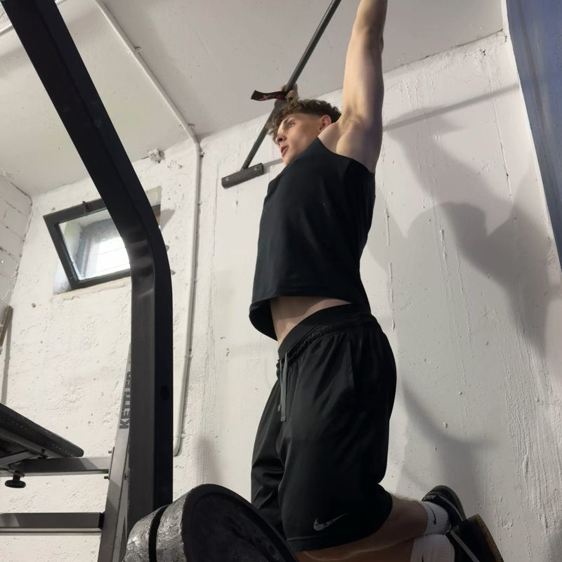 Leg Rise While Hanging thumbnail