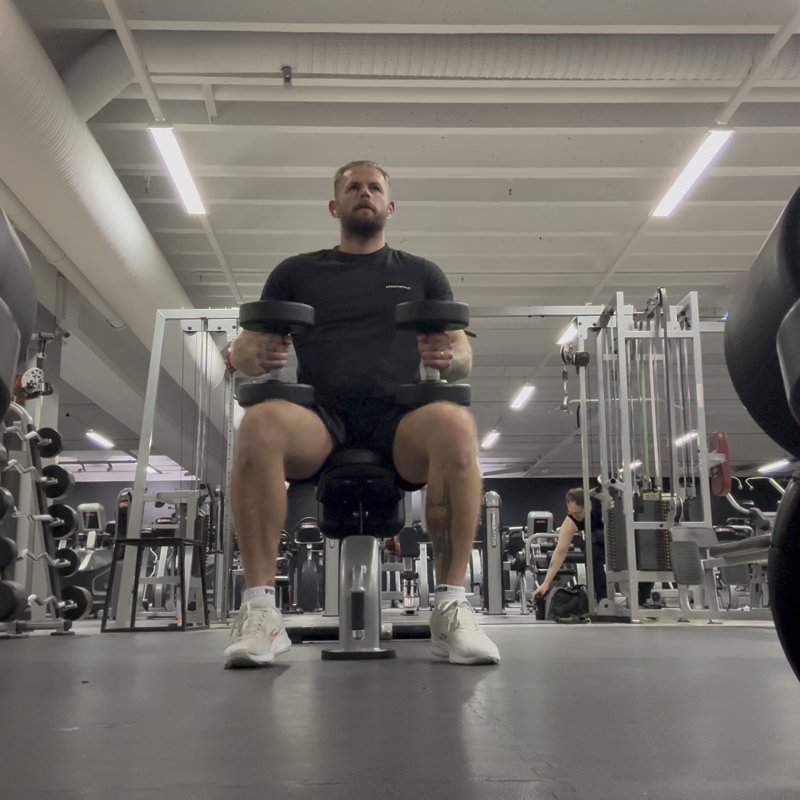 Seated Dumbbell Shoulder Press thumbnail