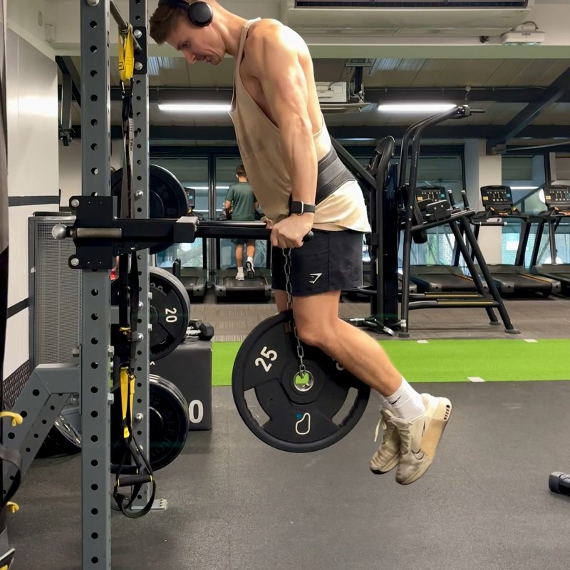 Weighted Dip video demonstration