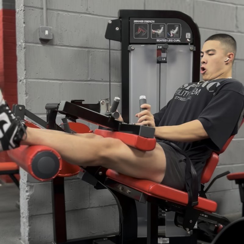 Hammer Strength Seated Leg Curl thumbnail