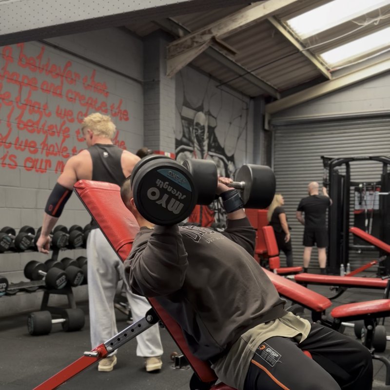 High Incline Dumbbell Press