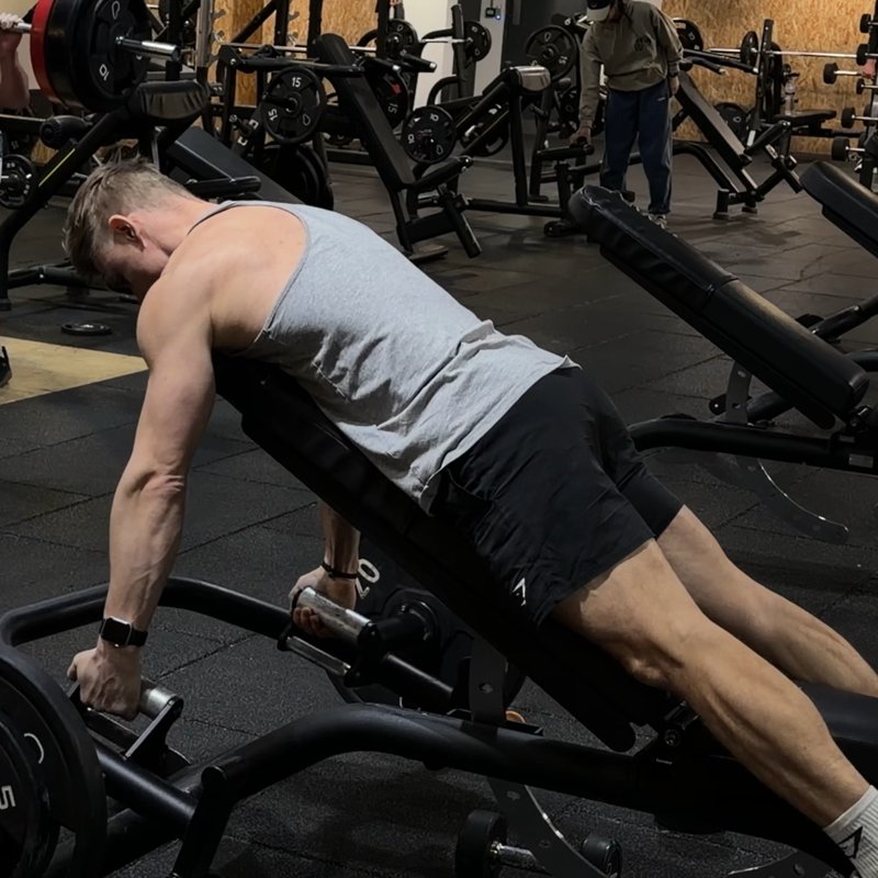 Incline Trap Bar Seal Row thumbnail