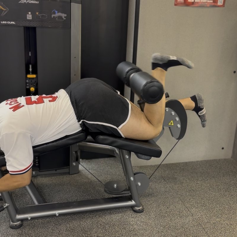 Lying Single Leg Curl thumbnail
