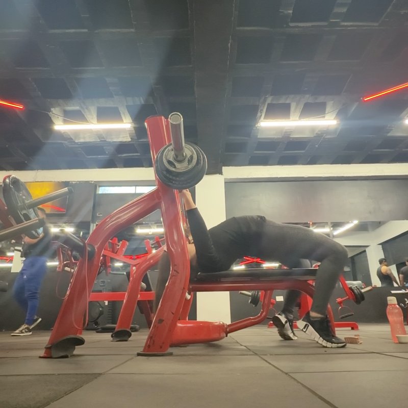 Dumbbell Bench Press video demonstration