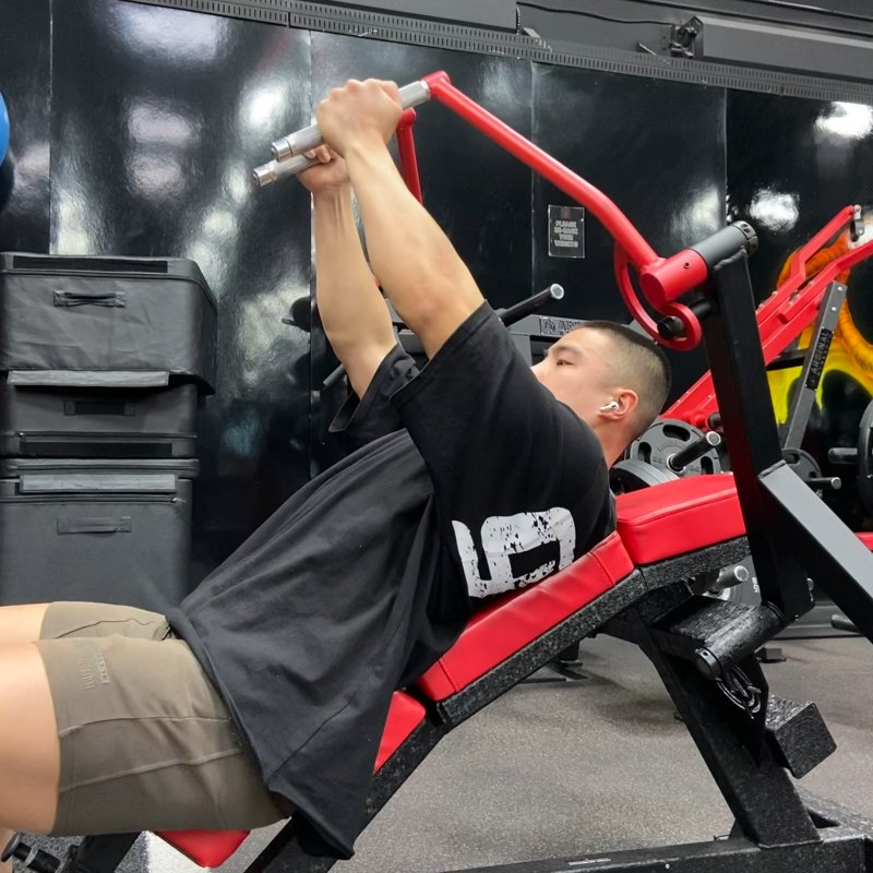 Arsenal Strength Plate Loaded Fly thumbnail