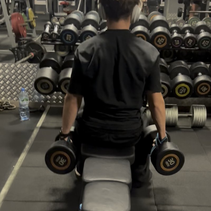 Seated Hammer Curl