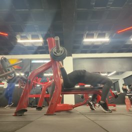 Dumbbell Bench Press demonstration